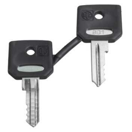 ZBG520E Schneider Electric КЛЮЧИ ДЛЯ АВАРИЙНОЙ КНОПКИ, 2 ШТ.
