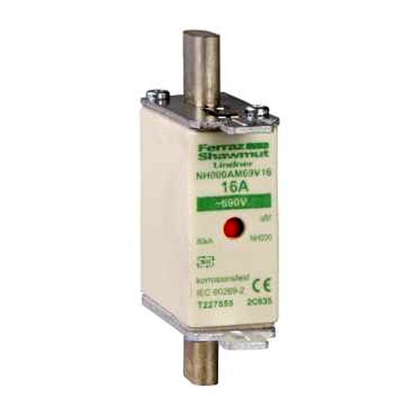 DF2FGA20 Schneider Electric ПРЕДОХРАНИТЕЛЬ