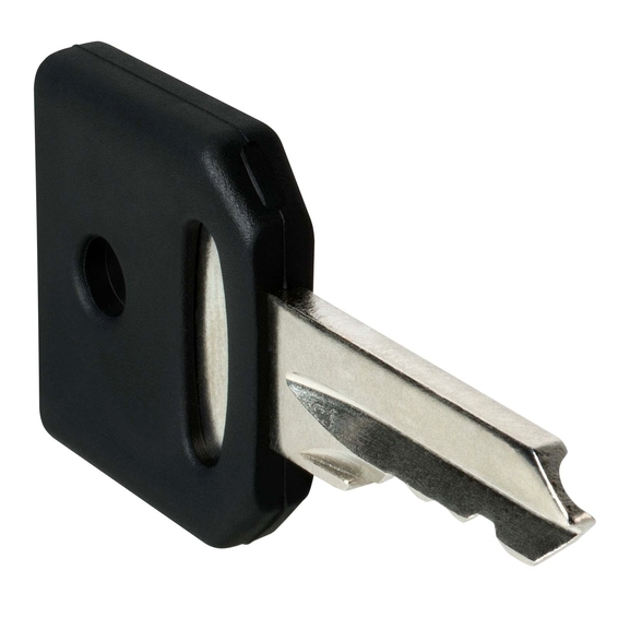 ZBG455 Schneider Electric КОМПЛЕКТ КЛЮЧЕЙ N  455