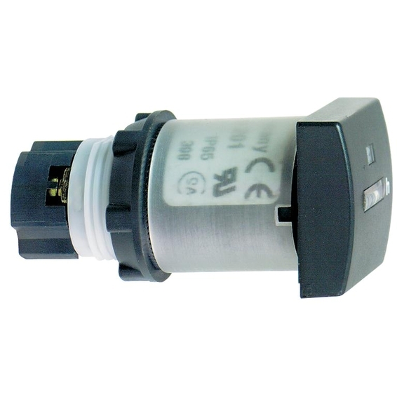 XB5DSG Schneider Electric СЧ. ВРЕМ. 22ММ 120В ПОКАЗ 0..9999.9