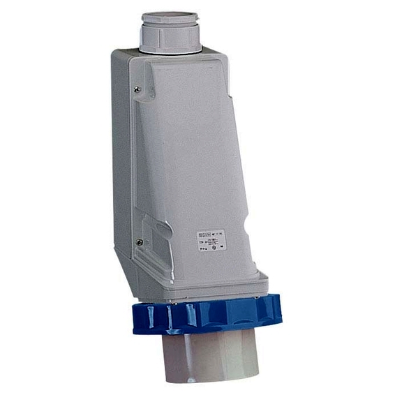 81590 Schneider Electric НАСТЕН ВИЛКА, ВИНТ 125А 2P+E IP67 220В